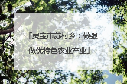 灵宝市苏村乡：做强做优特色农业产业