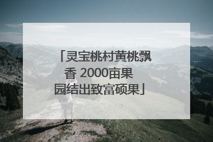 灵宝桃村黄桃飘香 2000亩果园结出致富硕果