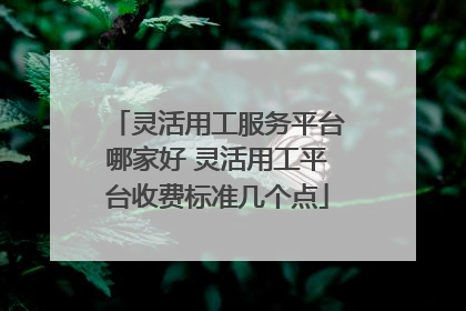 灵活用工服务平台哪家好 灵活用工平台收费标准几个点