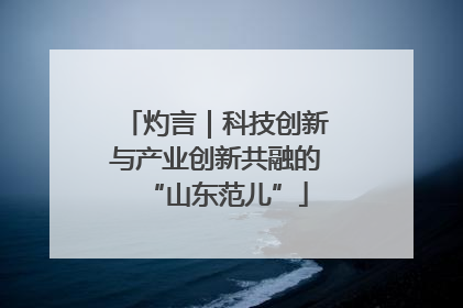 灼言｜科技创新与产业创新共融的“山东范儿”