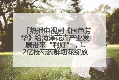 热播电视剧《国色芳华》给菏泽花卉产业发展带来“利好”，1.2亿枝芍药鲜切花绽放“国色芳华”
