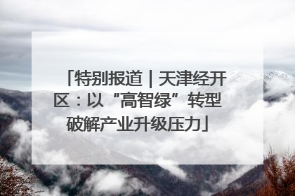 特别报道｜天津经开区：以“高智绿”转型破解产业升级压力