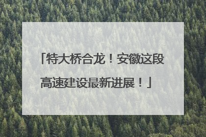 特大桥合龙！安徽这段高速建设最新进展！