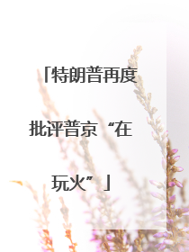 特朗普再度批评普京“在玩火”