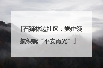 石狮林边社区：党建领航织就“平安霞光”