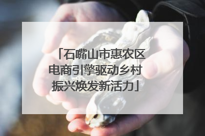 石嘴山市惠农区电商引擎驱动乡村振兴焕发新活力