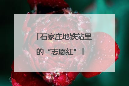 石家庄地铁站里的“志愿红”