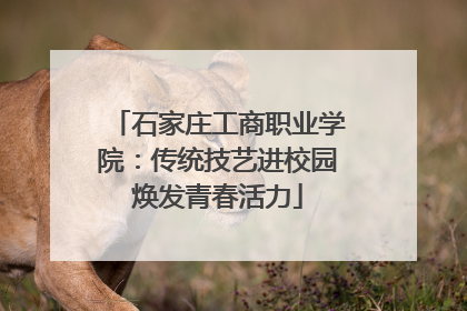 石家庄工商职业学院：传统技艺进校园焕发青春活力