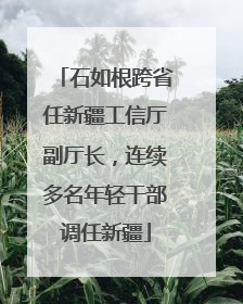 石如根跨省任新疆工信厅副厅长，连续多名年轻干部调任新疆