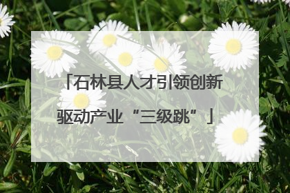石林县人才引领创新驱动产业“三级跳”