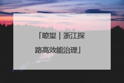 瞭望｜浙江探路高效能治理
