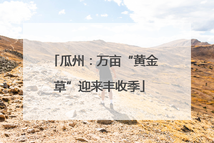 瓜州：万亩“黄金草”迎来丰收季