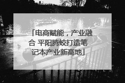 电商赋能，产业融合 平阳腾蛟打造笔记本产业新高地