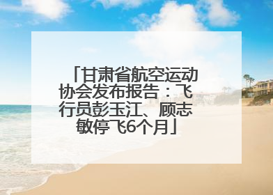 甘肃省航空运动协会发布报告：飞行员彭玉江、顾志敏停飞6个月