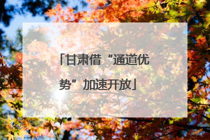 甘肃借“通道优势”加速开放