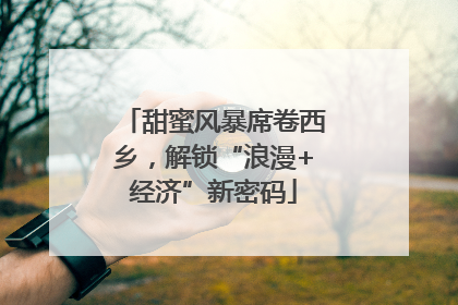 甜蜜风暴席卷西乡，解锁“浪漫+经济”新密码