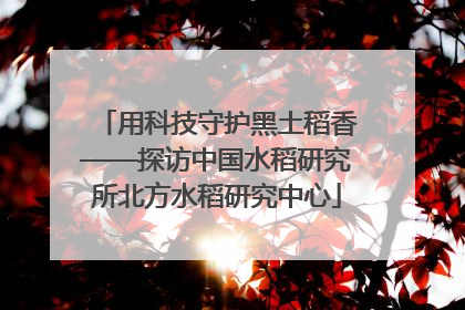 用科技守护黑土稻香——探访中国水稻研究所北方水稻研究中心
