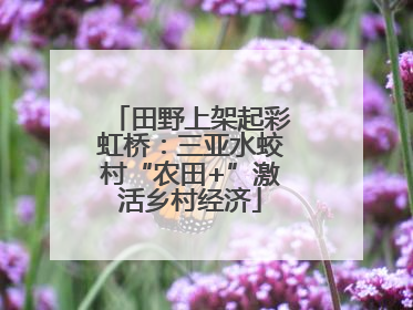 田野上架起彩虹桥：三亚水蛟村“农田+”激活乡村经济