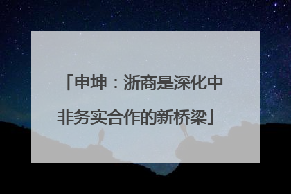 申坤：浙商是深化中非务实合作的新桥梁