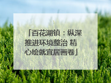 百花湖镇：纵深推进环境整治 精心绘就宜居画卷