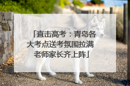 直击高考：青岛各大考点送考氛围拉满 老师家长齐上阵