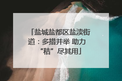 盐城盐都区盐渎街道：多措并举 助力“秸”尽其用