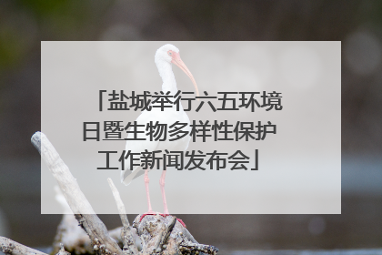 盐城举行六五环境日暨生物多样性保护工作新闻发布会