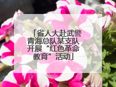 省人大赴武警青海总队某支队开展“红色革命教育”活动