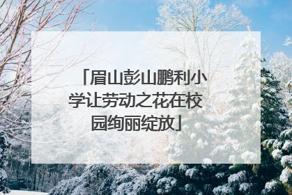 眉山彭山鹏利小学让劳动之花在校园绚丽绽放
