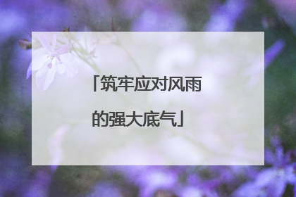 筑牢应对风雨的强大底气