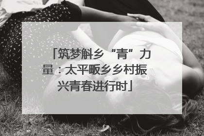 筑梦斛乡“青”力量：太平畈乡乡村振兴青春进行时