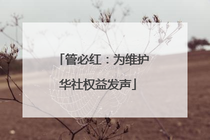 管必红：为维护华社权益发声