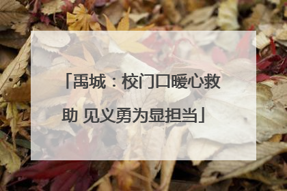 禹城：校门口暖心救助 见义勇为显担当