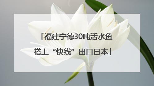 福建宁德30吨活水鱼搭上“快线”出口日本