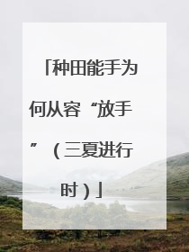 种田能手为何从容“放手”（三夏进行时）
