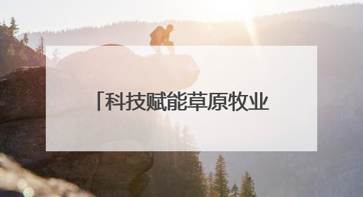 科技赋能草原牧业 巴林右旗胚胎移植羊羔茁壮成长