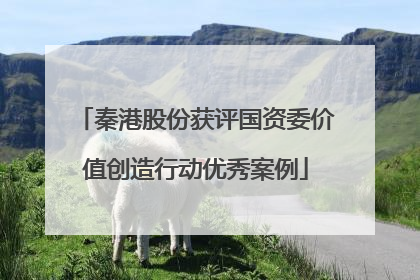 秦港股份获评国资委价值创造行动优秀案例
