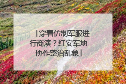 穿着仿制军服进行商演？红安军地协作整治乱象