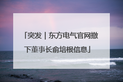 突发｜东方电气官网撤下董事长俞培根信息