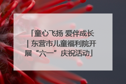 童心飞扬 爱伴成长｜东营市儿童福利院开展“六一”庆祝活动