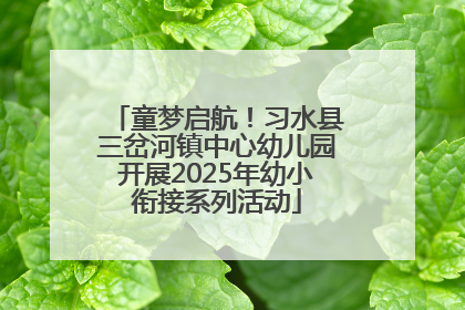 童梦启航！习水县三岔河镇中心幼儿园开展2025年幼小衔接系列活动