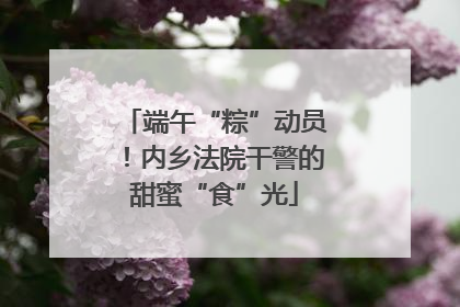 端午“粽”动员！内乡法院干警的甜蜜“食”光