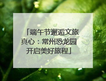 端午节邂逅文旅真心：常州恐龙园开启美好旅程