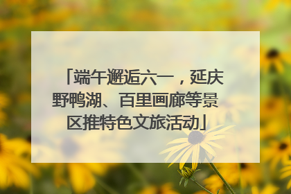 端午邂逅六一，延庆野鸭湖、百里画廊等景区推特色文旅活动