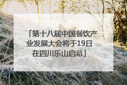 第十八届中国餐饮产业发展大会将于19日在四川乐山启幕