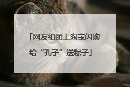 网友组团上淘宝闪购给“孔子”送粽子