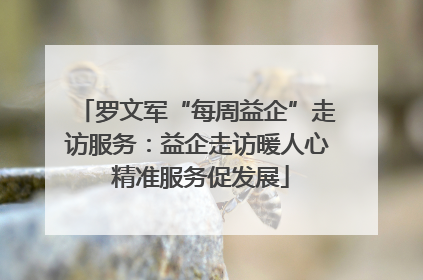 罗文军“每周益企”走访服务：益企走访暖人心 精准服务促发展