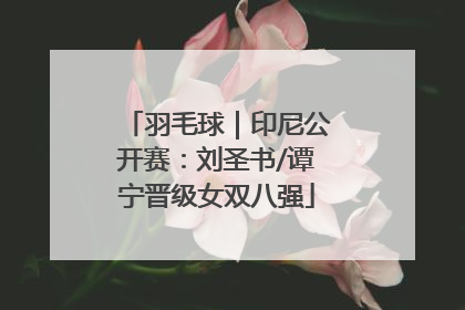 羽毛球｜印尼公开赛：刘圣书/谭宁晋级女双八强