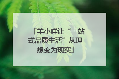 羊小咩让“一站式品质生活”从理想变为现实
