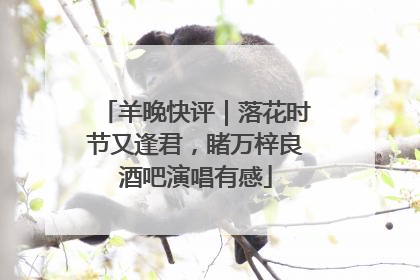 羊晚快评｜落花时节又逢君，睹万梓良酒吧演唱有感